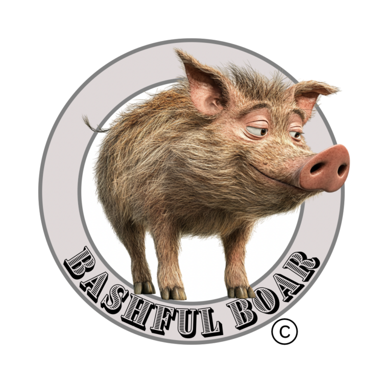 bashfulboar.com Domain for Sale