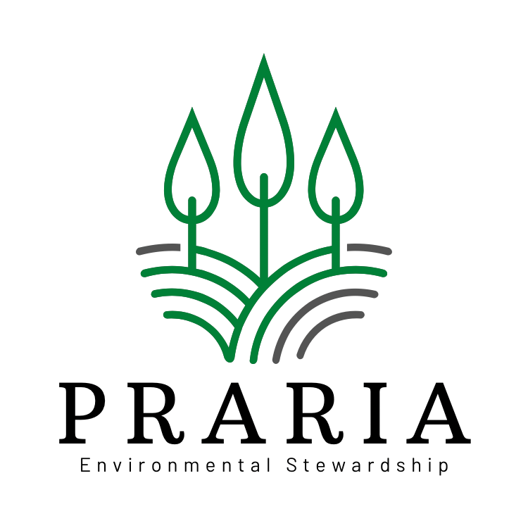 praria.com Domain for Sale