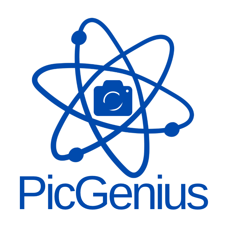 picgenius.com Domain for Sale