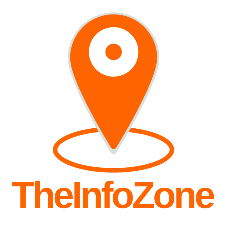 theinfozone.com Domain for Sale