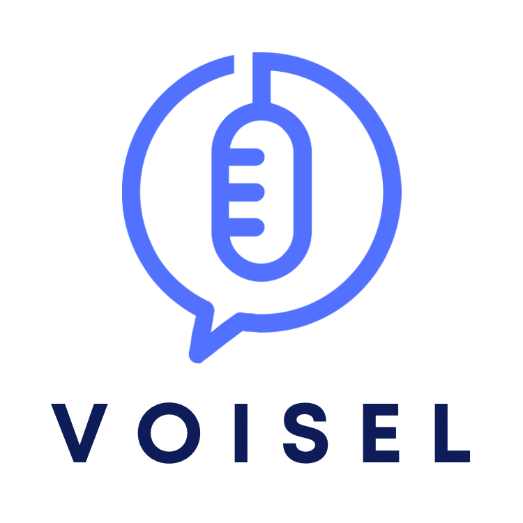 voisel.com Domain for Sale