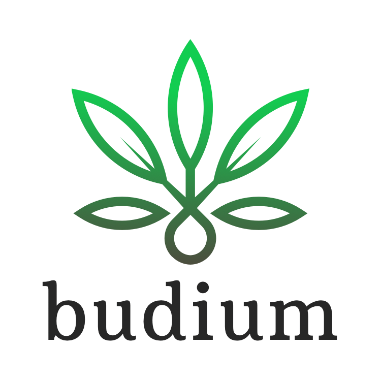 budium.com Domain for Sale